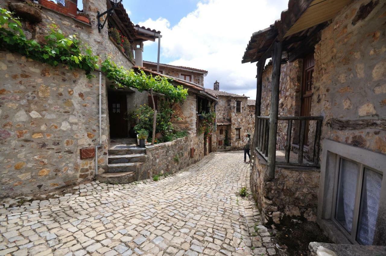 Casa Do Olival Villa Figueiro Dos Vinhos Ngoại thất bức ảnh