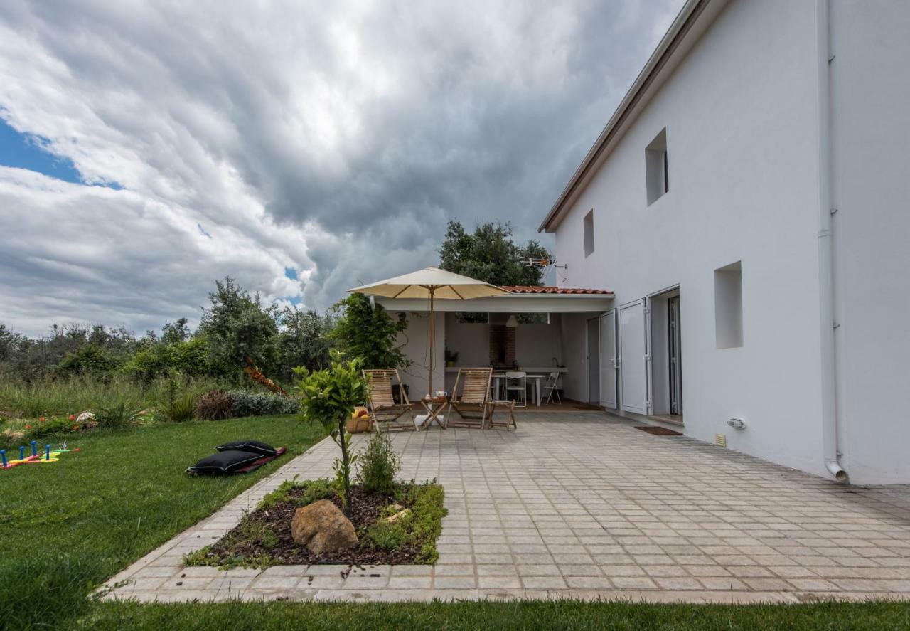 Casa Do Olival Villa Figueiro Dos Vinhos Ngoại thất bức ảnh