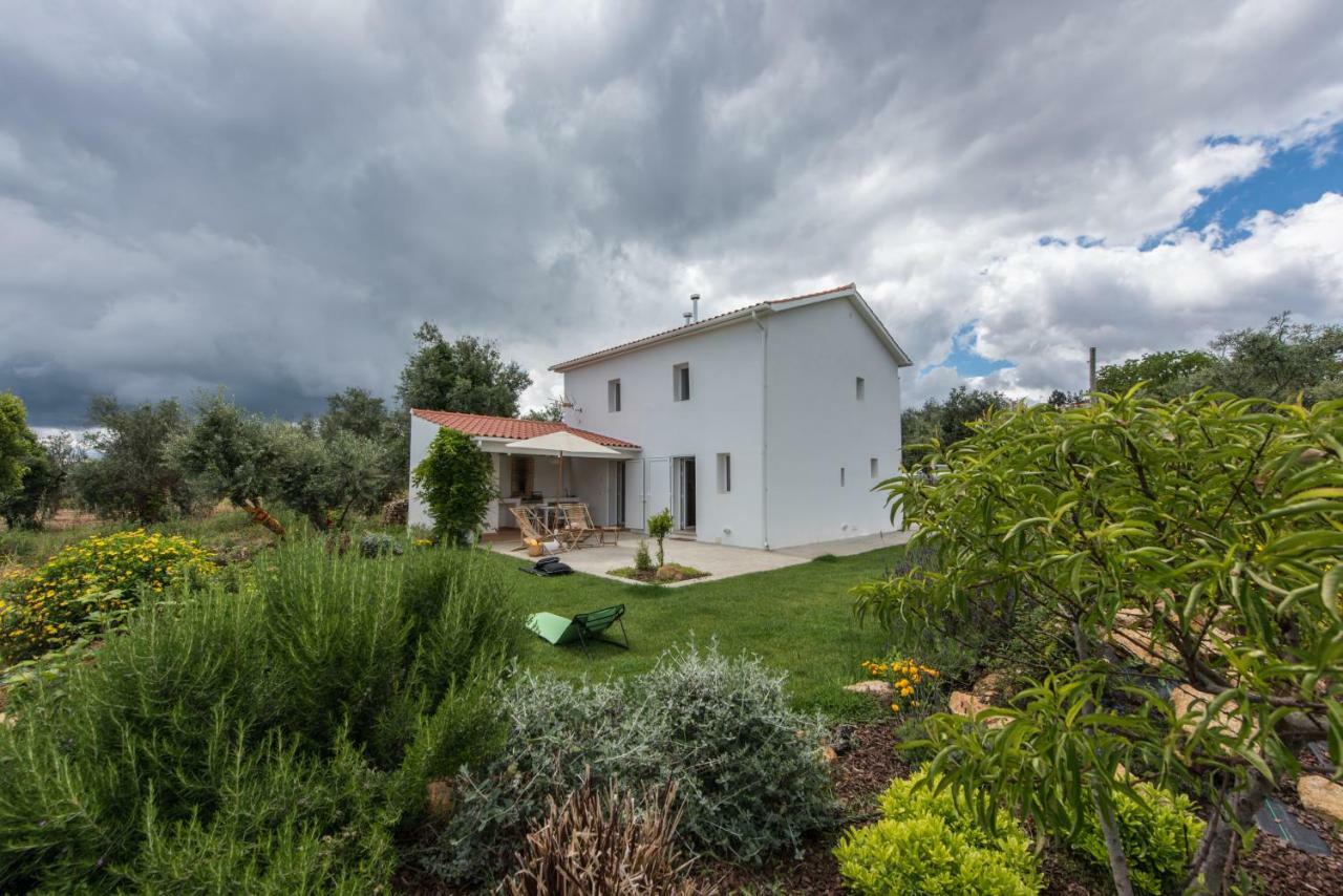 Casa Do Olival Villa Figueiro Dos Vinhos Ngoại thất bức ảnh